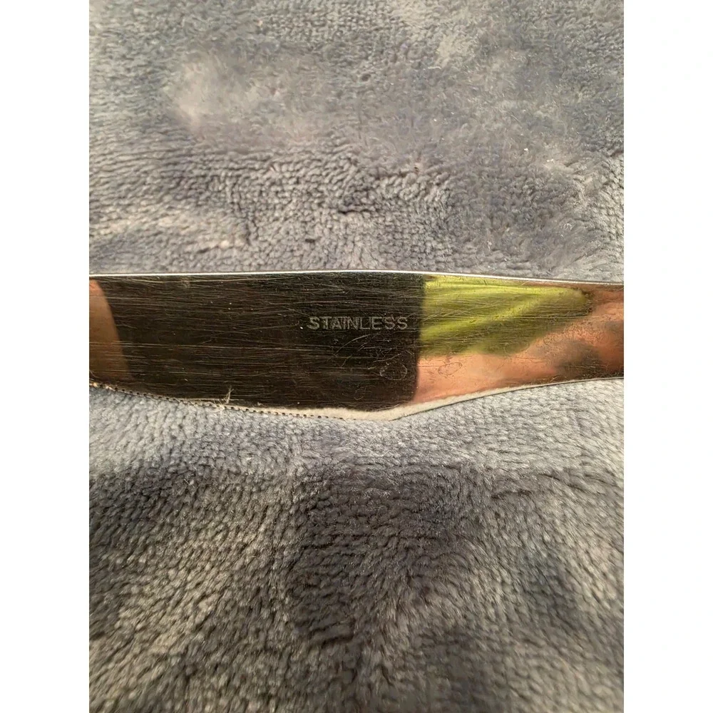 Vintage Danika by MSI, Japan Stainless Steel Dinner Knives Floral Set of 2